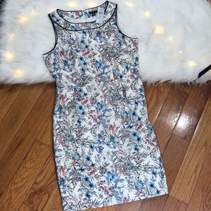 Ann Taylor petite 6P Dress Brand new